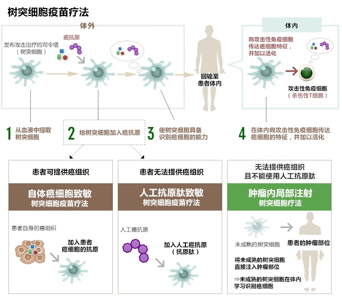 樹(shù)突細(xì)胞疫苗療法的種類(lèi)